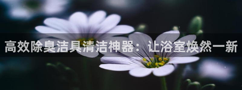 尊龙平台有谁玩过