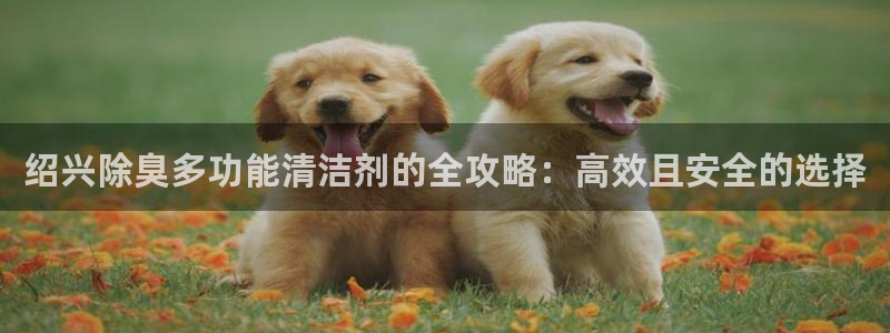 尊龙d88官网可靠送38元
