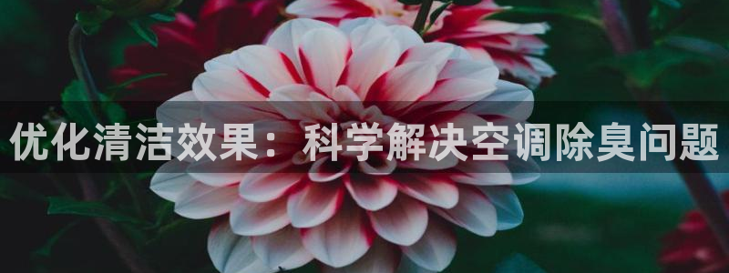 z6尊龙凯时ag旗舰厅