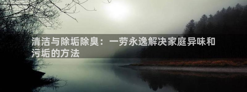 尊龙人生就是博ag旗舰厅：清洁与除垢除臭：一劳永逸解决家