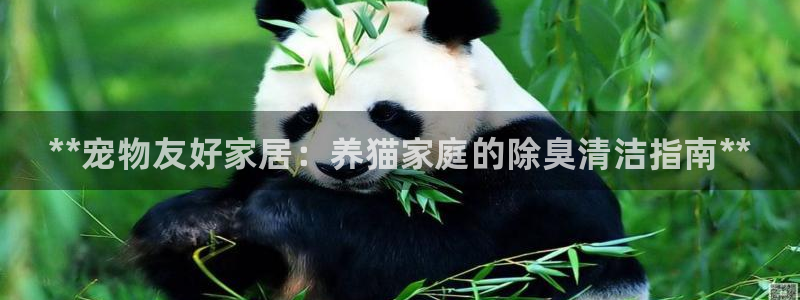 凯时国际app登录：