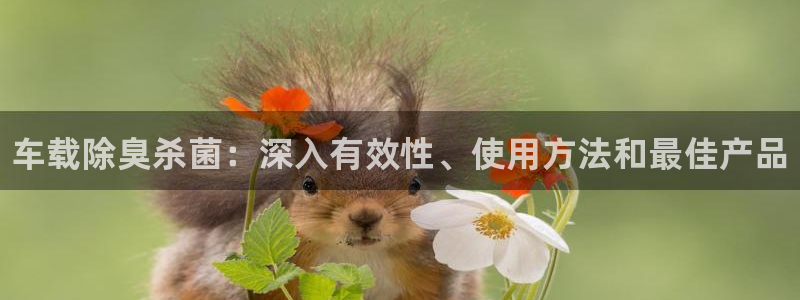 尊龙官网首页：车载除