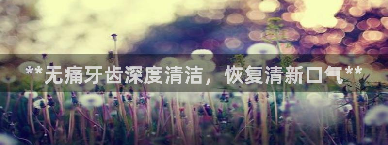凯时国际app首页登