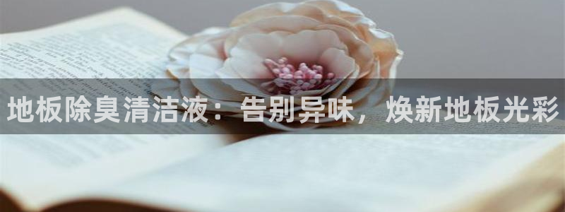尊龙凯时手机版·(中国)官方网站：地板除臭清洁液：告别异