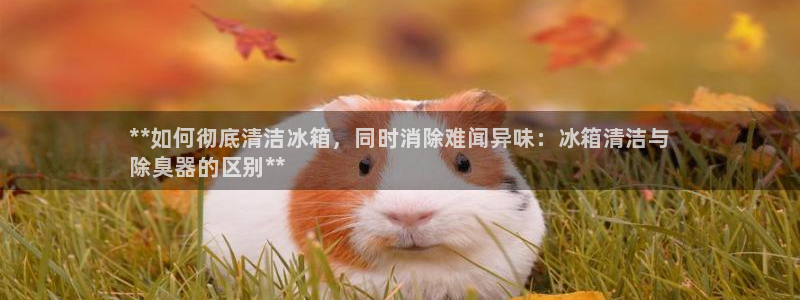 尊龙d88官网选RA