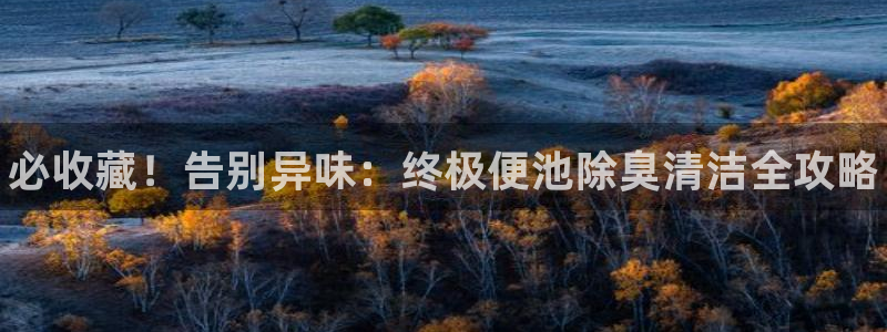 尊龙凯时下载链接：必收藏！告别异味：终极便池除臭清洁全攻