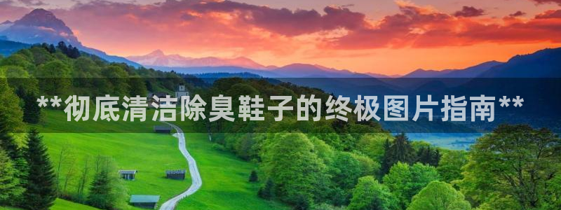 尊龙凯时网娱乐最新版下载：**彻底清洁除臭鞋子的终极图片