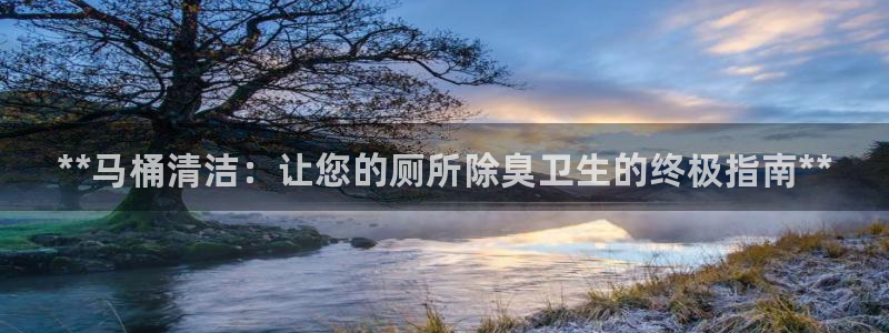 尊龙凯时防屏蔽网址：**马桶清洁：让您的厕所除臭卫生的终