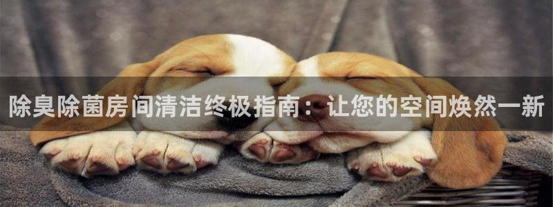 d88尊龙手机登录下