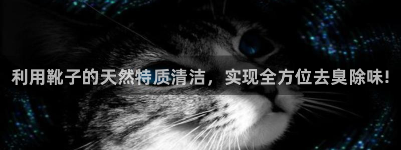 尊龙凯时凯发官网