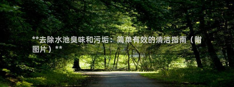 尊龙凯时平台还是万博好