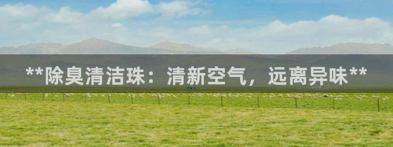 尊龙凯时几百万怎么下