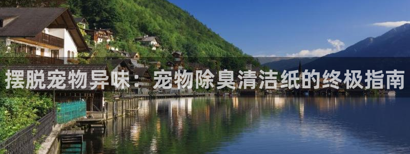 尊龙凯时出款：摆脱宠物异味：宠物除臭清洁纸的终极指南