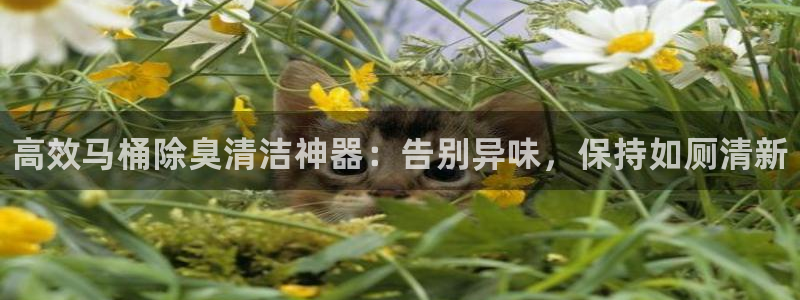 尊龙凯时产品种类：高效马桶除臭清洁神器：告别异味，保持如