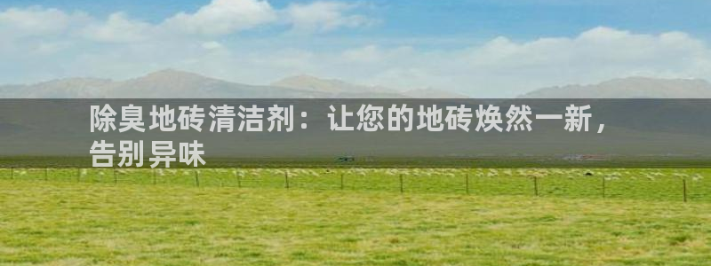 尊龙官网免费下载安卓：除臭地砖清洁剂：让您的地砖焕然一新