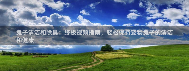 尊龙凯时用户名m：兔子清洁和除臭：终极视频指南，轻松保持