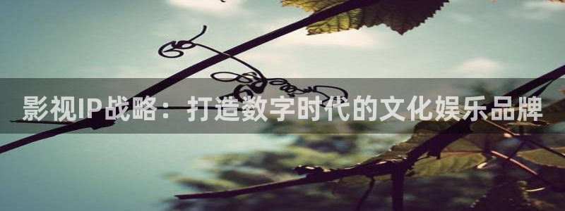 四库影院4
