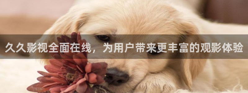 四库影院小说