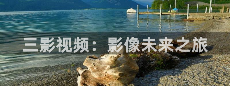 海外四库影院