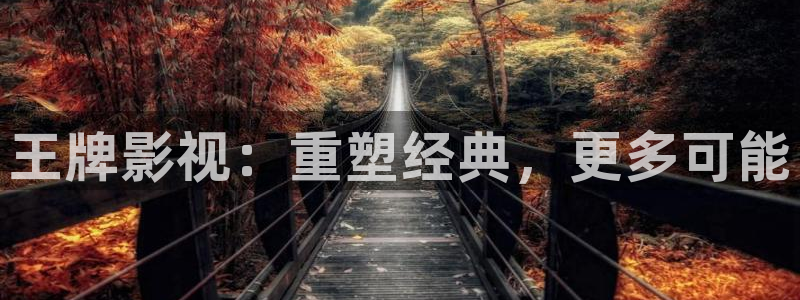 四库影视免费观看电视剧高清大全