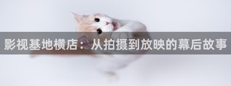 四库影院怎么看电影